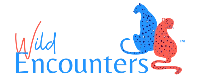 Wild Encounters Logo