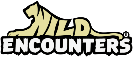 Wild Encounters